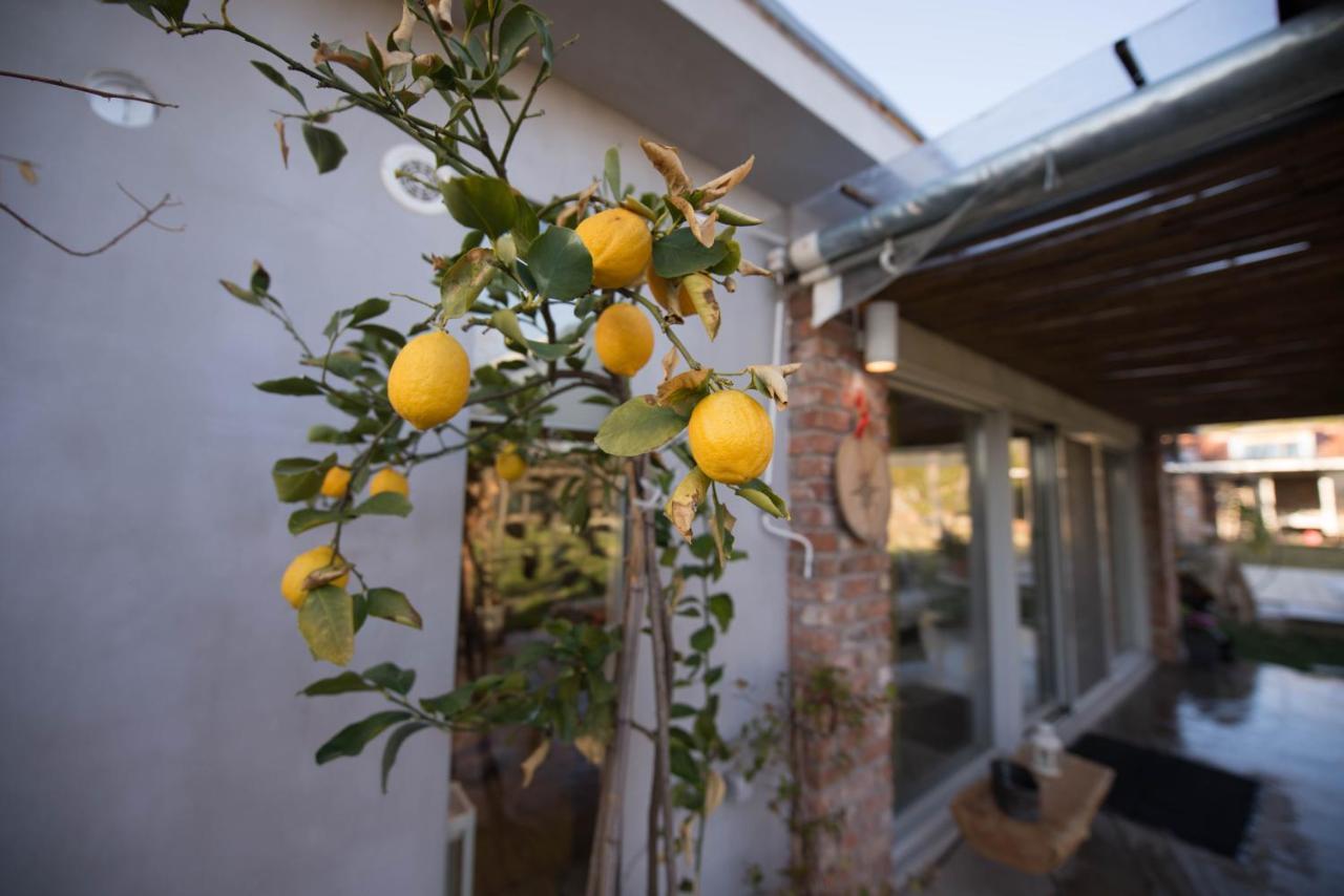 Sinanis Garden House Apartment Volos Bagian luar foto